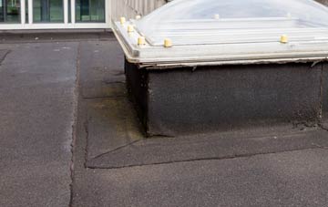 disadvantages of Newhay flat roofs